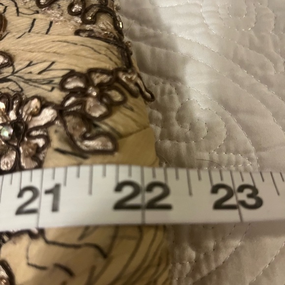 Rina diMontella Strapless Chiffon Gown in Cream and Silver, size 16W - Picture 7 of 11